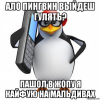 ало пингвин выйдеш гулять? пашол в жопу я кайфую на мальдивах