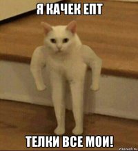 я качек епт телки все мои!