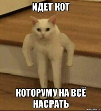 идет кот которуму на всё насрать