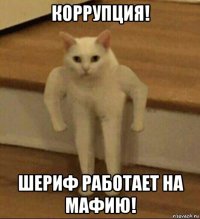 коррупция! шериф работает на мафию!