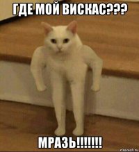 где мой вискас??? мразь!!!!!!!