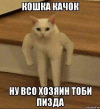 кошка качок ну всо хозяин тоби пизда