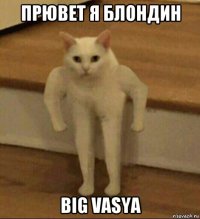 прювет я блондин big vasya