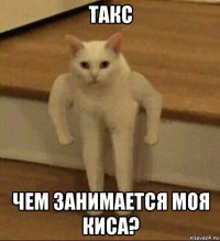 такс чем занимается моя киса?