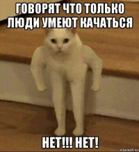 говорят что только люди умеют качаться нет!!! нет!