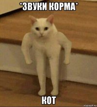 *звуки корма* кот