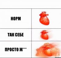 Норм Так себе Просто ж***