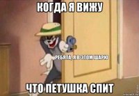 когда я вижу что петушка спит