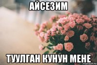 айсезим туулган кунун мене