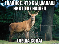 главное, что бы шалаш никто не нашёл (лёша сова)