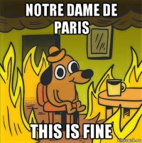 notre dame de paris this is fine