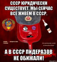 ссср юридически существует. мы сейчас все живём в ссср. а в ссср пидеразов не обижали!