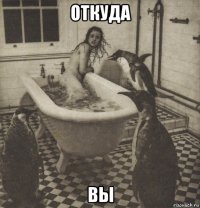 откуда вы