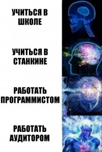 Учиться в школе Учиться в СТАНКИНе Работать программистом Работать аудитором