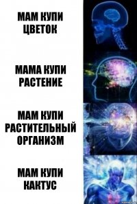 Мам купи цветок мама купи растение Мам купи растительный организм мам купи кактус