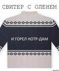 и горел нотр-дам