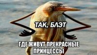  где живут прекрасные принцессы