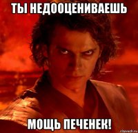 ты недооцениваешь мощь печенек!