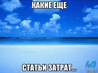 какие еще статьи затрат...