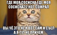 где моя сосиска где моя сосиска?2:кот сожрал вы чё это не я вот сам и съел а я тут не причём