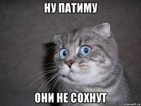 ну патиму они не сохнут