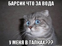 барсик что за вода у меня в тапках???