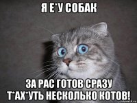 я е*у собак за рас готов сразу т*ах*уть несколько котов!