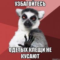 узбагойтесь одетых клещи не кусают