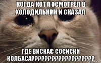 когда кот посмотрел в холодильник и сказал где вискас сосиски колбаса???????????????????