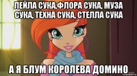 лейла сука,флора сука, муза сука, техна сука, стелла сука а я блум королева домино