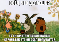 осёл, что делаешь? та он смотрю пацан шалаш строит,так это он осёл получается