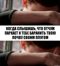 Когда слышишь, что отчум пархает к тебе баранить твою почву своим плугом