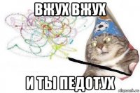 вжух вжух и ты педотух