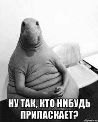  ну так, кто нибудь приласкает?