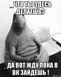 _что ты здесь делаешь? _да вот жду пока в вк зайдёшь !