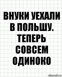 Внуки уехали в Польшу. Теперь совсем одиноко