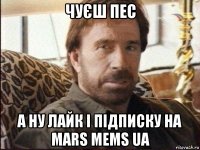 чуєш пес а ну лайк і підписку на mars mems ua