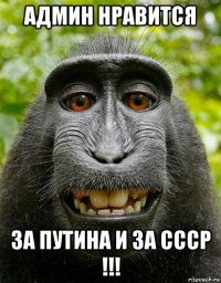 админ нравится за путина и за ссср !!!