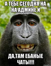 а тебе сегодня на на админе и да,там ебаные чаты!!!