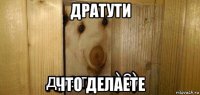 дратути что делаете