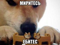 миритесь ебитес