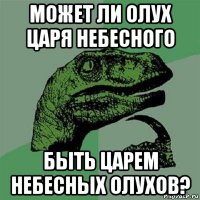 может ли олух царя небесного быть царем небесных олухов?