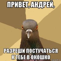 привет, андрей, разреши постучаться к тебе в окошко