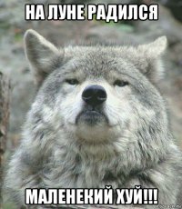 на луне радился маленекий хуй!!!