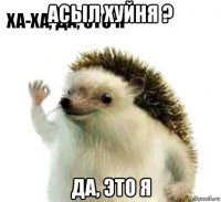 асыл хуйня ? да, это я