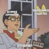 Десмонд Хэррингтон любое живое существо это норка?