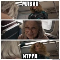 млвип итррл