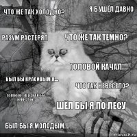 Что же так холодно? Что так невесело? Что же так темно? Был бы я молодым.... Был бы красивым я.... Я б ушёл давно Шёл бы я по лесу Разум растерял Голую ветку я звал бы невестою Головой качал