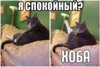 я спокойный? 