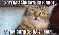 хотела записаться к лисе а там запись на 21 мая...